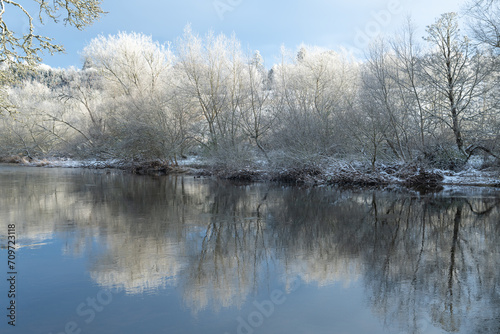 Reflections of snow covered trees in the River Teviot, Scottish Borders, United Kingdom