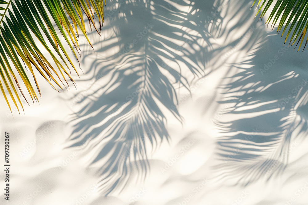 Top view of tropical white sand beach, palm tree and shadow for product background. Copy space
