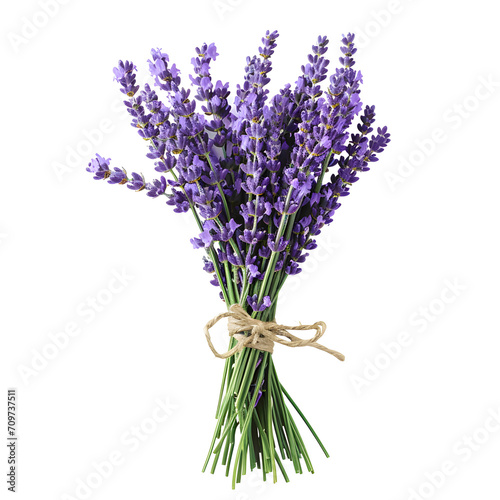 Lavender bundle isolated on white background  hyperrealism  png 