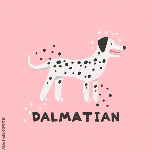 Vector illustration of dalmatian. Cute hand-drawn dog on pink background