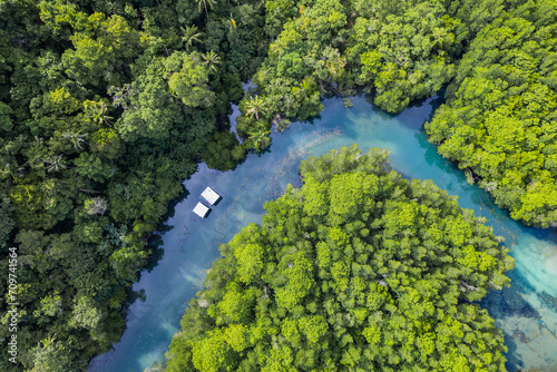 Fototapeta Naklejka Na Ścianę i Meble -  Beautiful aerial view of green mangroves or tropical forest in Thailand.