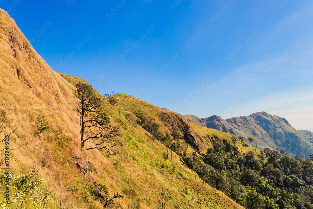 Beautiful mountain valley during sunlight at afternoon. Beautiful mountain valley during sunlight at afternoon.