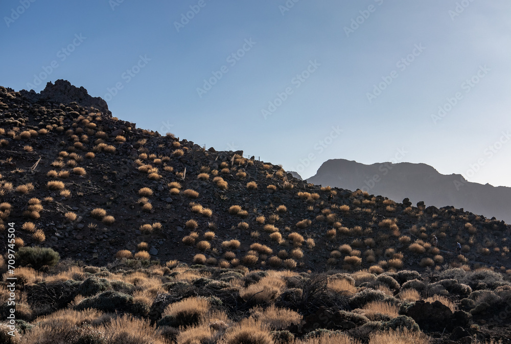 Obraz premium Landscape of Teide National Park on Tenerife