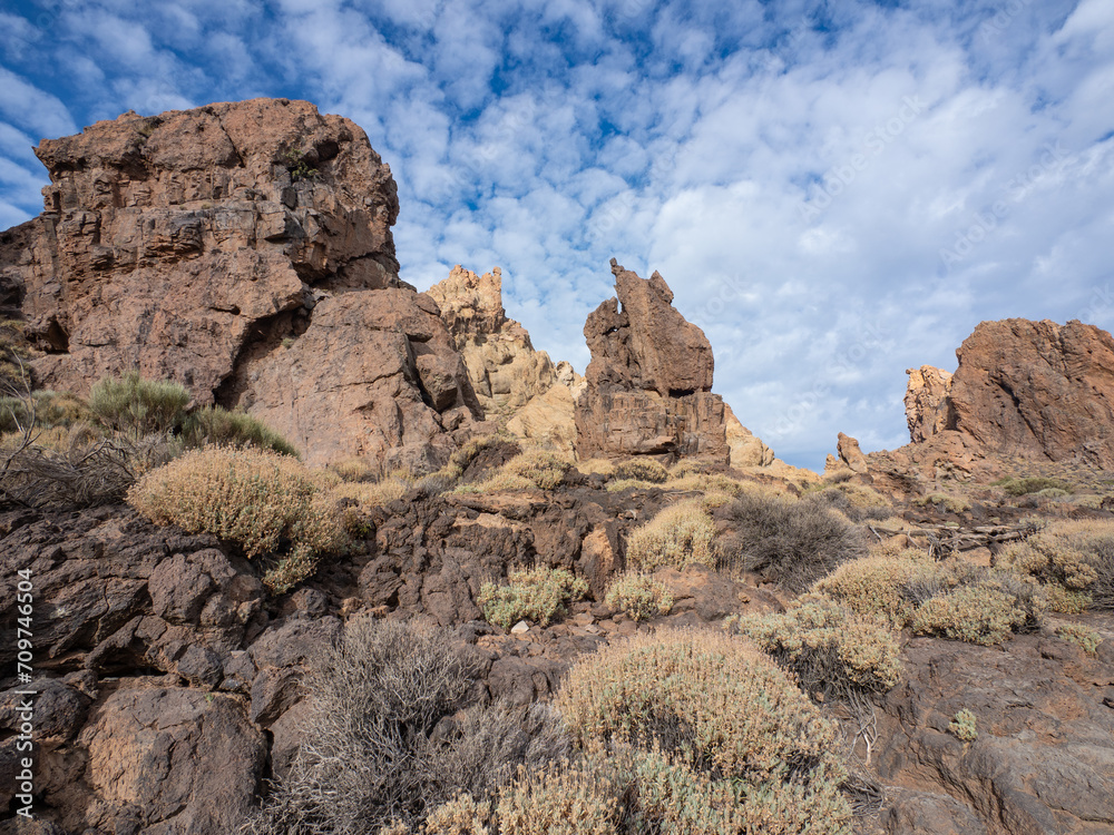 Fototapeta premium Landscape of Teide National Park