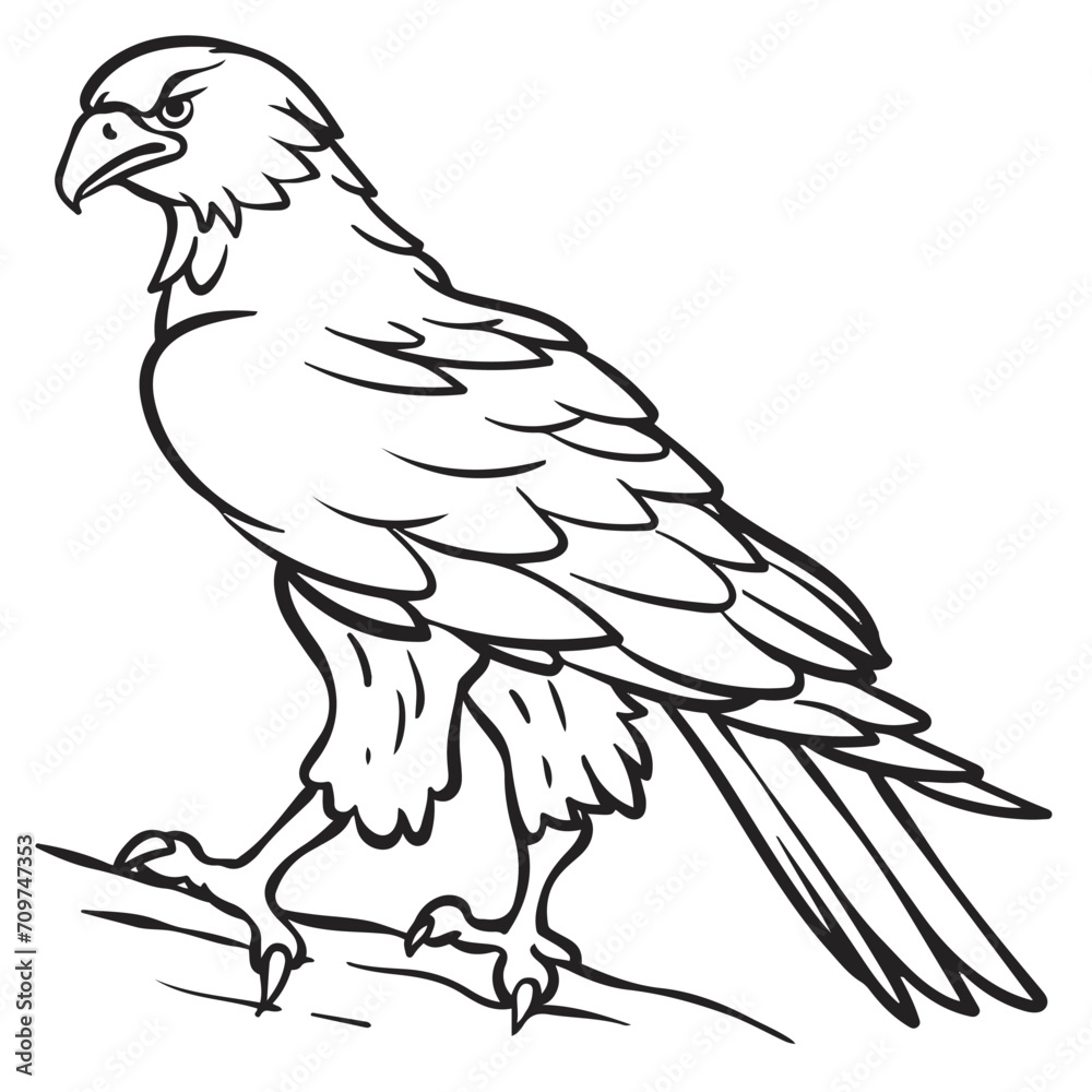 Illustration of eagle, hawk, falcon. drawing with line art on white backgrounds. Simple Design Outline Style. You can give color you like. Vector Illustrations