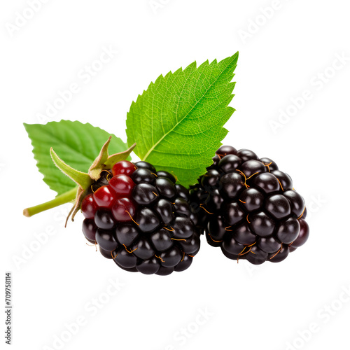 Close up of two fresh blackberry with leaves. Isolated on transparent background, PNG