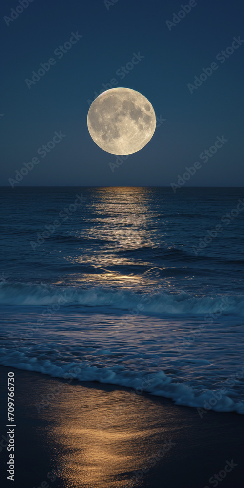Night landscape of the sea, large moon