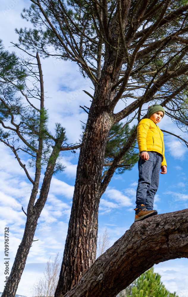 Boy climbing the trunk of a pine tree standing with winter clothes Boy climbing the trunk of a pine tree standing with winter clothes