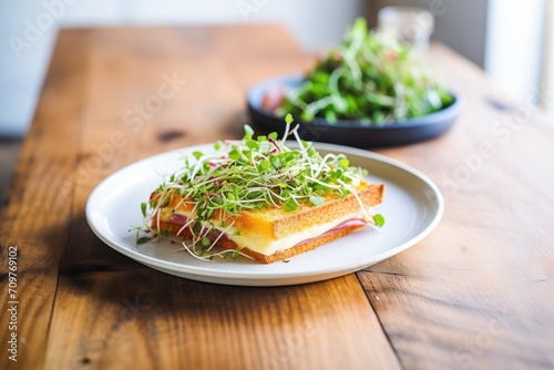 croque monsieur on a rustic plate, microgreens for contrast photo