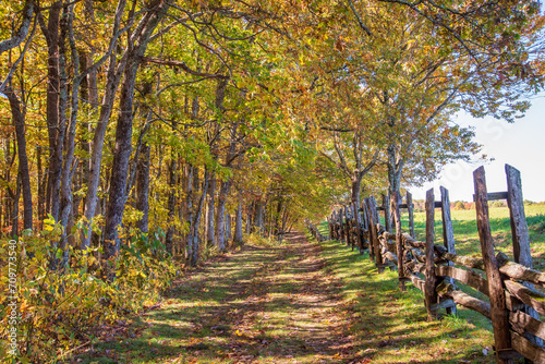 Fototapeta Naklejka Na Ścianę i Meble -  Fall colors at the Hensleey Settlement at Cumberland Gap National Historic Park.