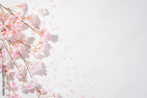 桜と白背景のフリースペース © TOMO...