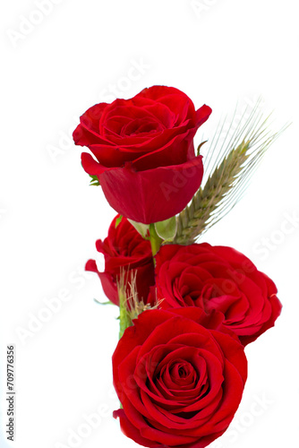 Fotografía de un elegante arreglo floral compuesto por cuatro rosas rojas con una espiga de trigo verde en fondo blanco. Fotografía vertical. Concepto Día de los Enamorados photo