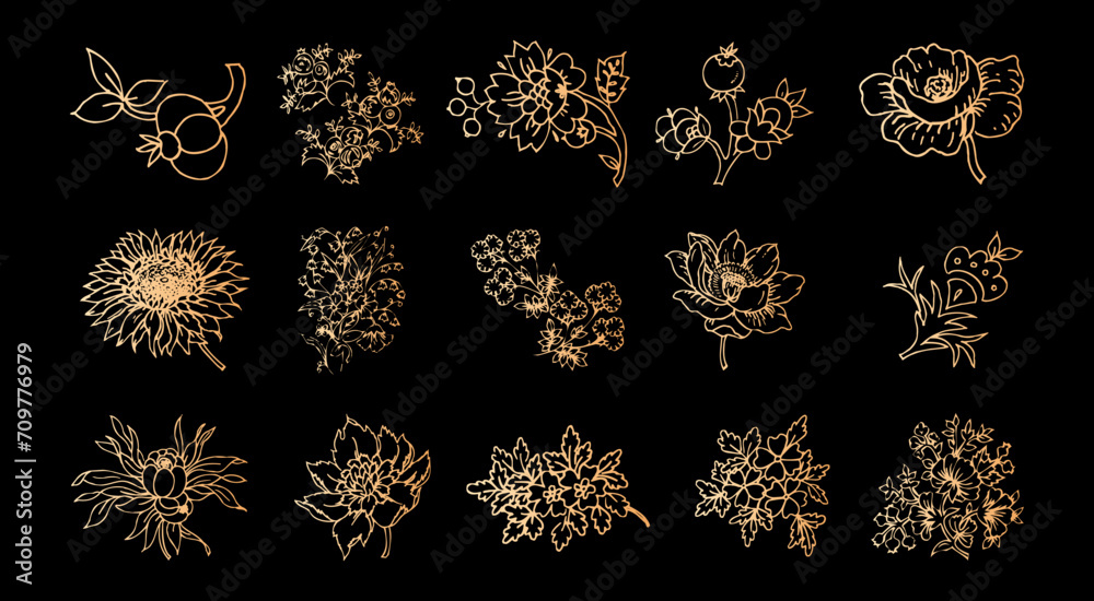 Vector decorative leaves and flower floral elements set vector.