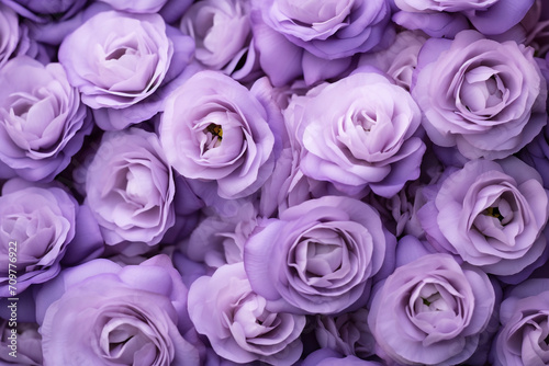 Elegant Light Purple Lisianthus Flower Background