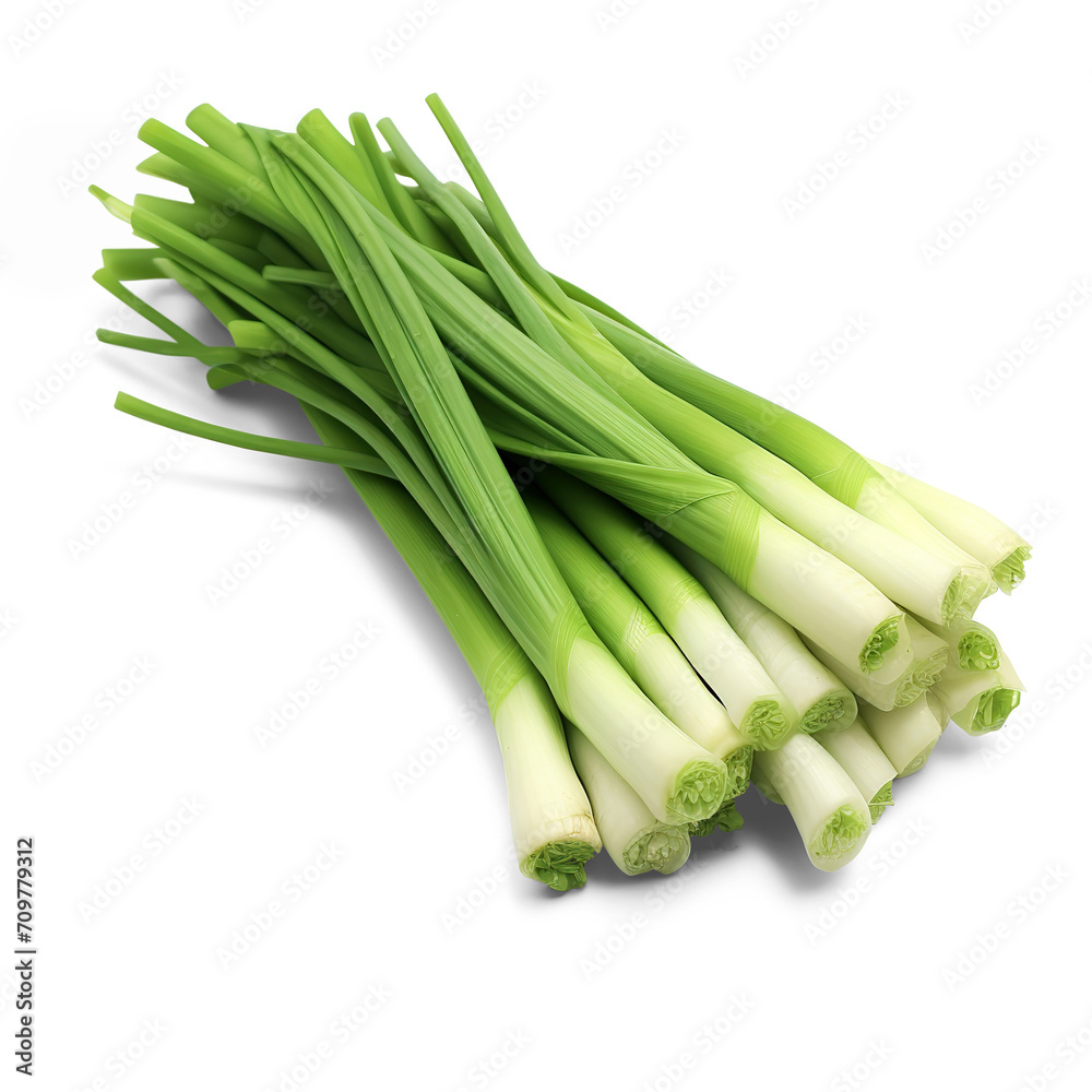 Green onions bunch. Cut out on transparent Green onions bunch. Cut out on transparent