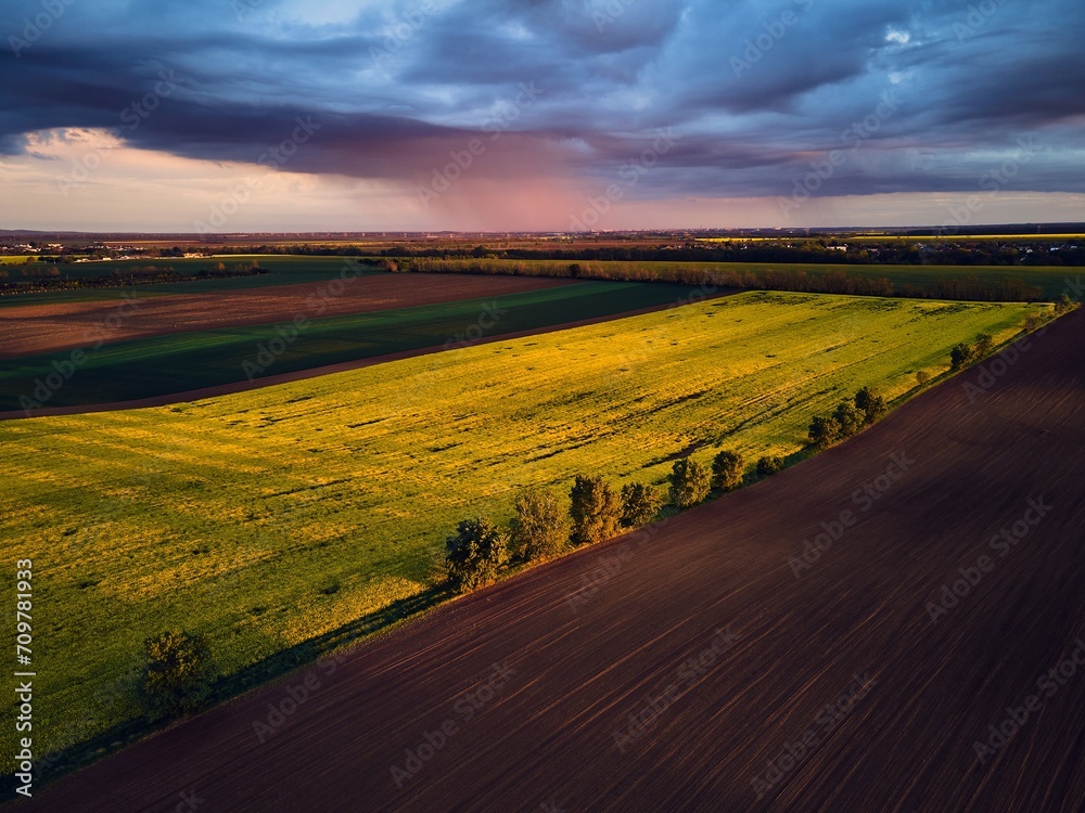 Aerial view of green summer farm fields, crops or pasture with during sunset.