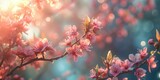 Beautiful blooming sakura flowers in spring time, vintage background