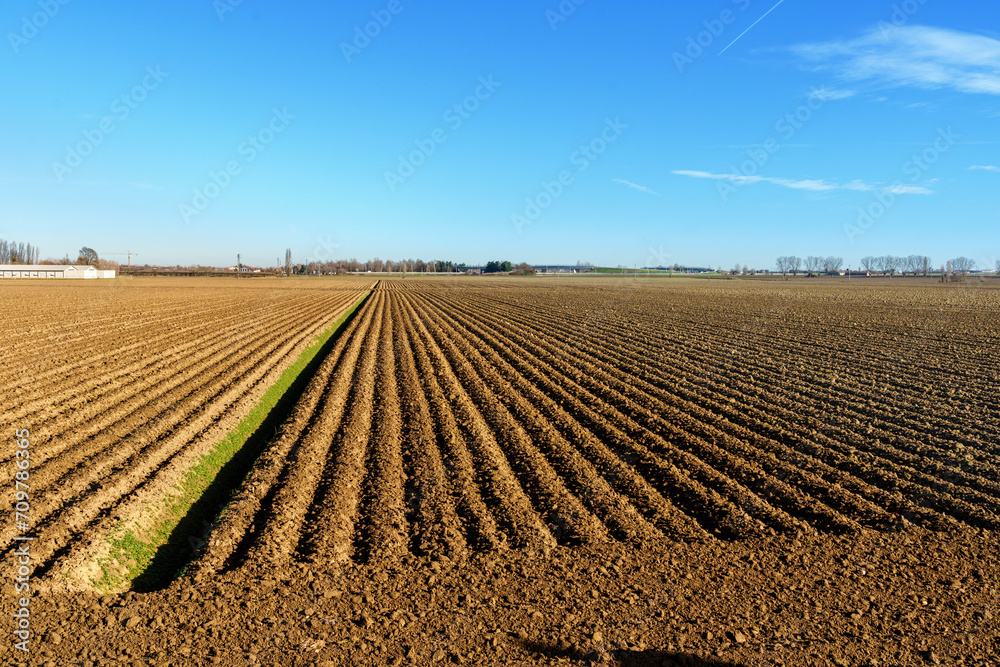 farmland field with regular furrows in plowed land