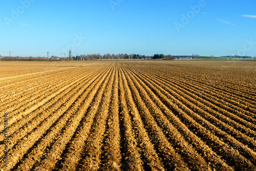 farmland field with regular furrows in plowed land