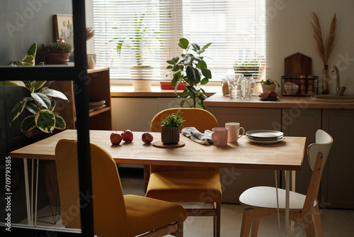 Chairs standing around wooden table with flowerpot with green domestic plants  fresh apples and kitchenware in the center of kitchen