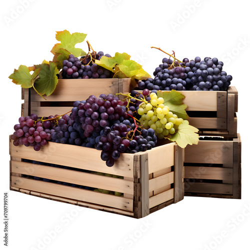 Set of Harvest Grapes in Wooden Crates, freshly picked grapes, ranging from deep purples to green hues, symbolizing bountiful harvest and natural abundance on a png background.