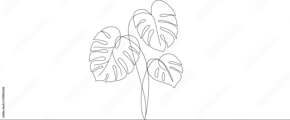 hand drawn monstera tropical leaf line art vector