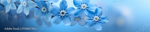 A beautiful closeup of two blue flowers, in the style of bokeh panorama, leica cl, shaped canvas, soft-focus portraits, wimmelbilder