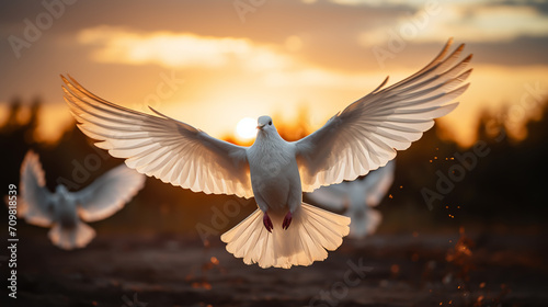 white dove or white pigeon on pastel background international day of peace © alexkich