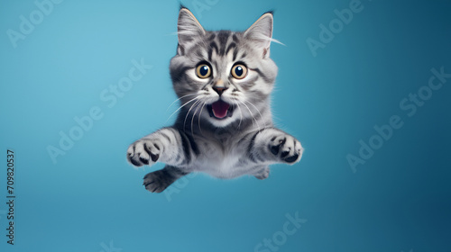 funny cat flying on blue background generated AI © natalystudio