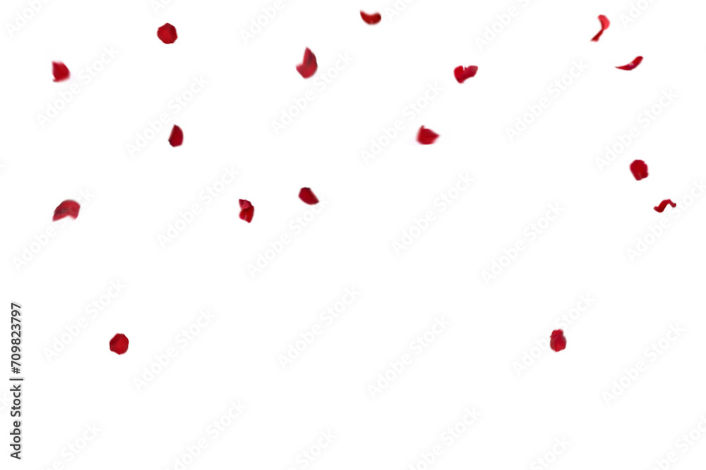 Red rose collection set of petals isolated on a transparent background. Red flower petals png. Floating red rose petal. Love valentines day postcard Red rose collection set of petals isolated on a transparent background. Red flower petals png. Floating red rose petal. Love valentines day postcard
