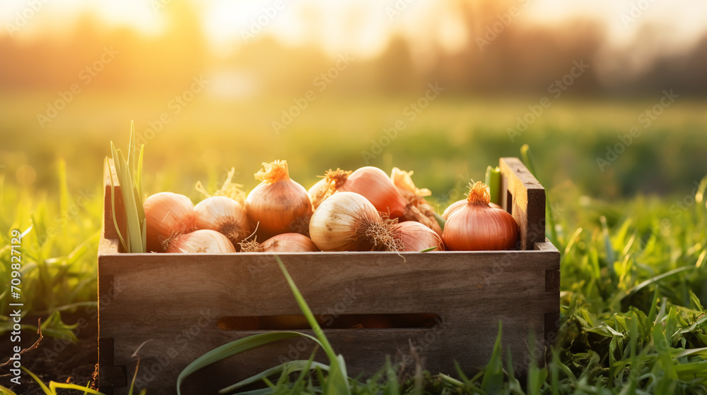 Fresh harvested onions in a plastic crate on the grass - obrazy, fototapety, plakaty 