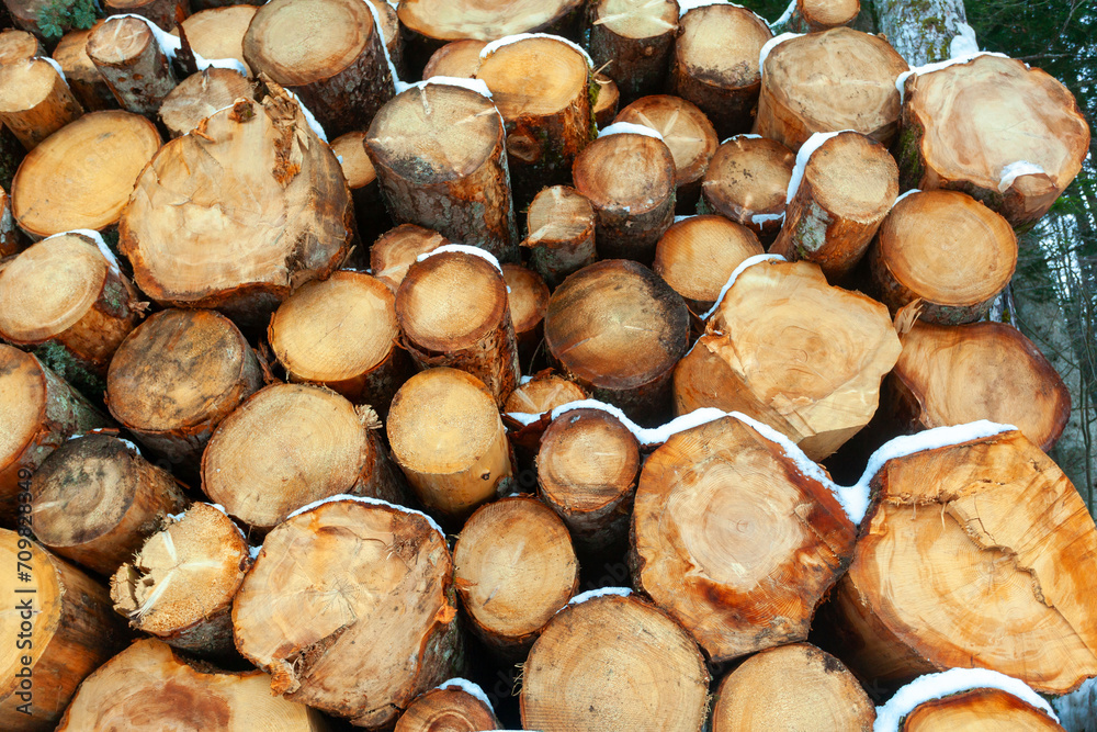 Logs of wood cut and stacked in the mountains under the snow. Logs of wood cut and stacked in the mountains under the snow.