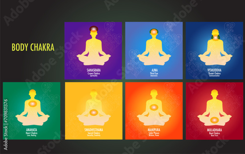 The seven chakras are thought of as the main energy points in your body, which run down the spine.	