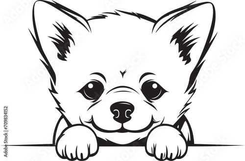 Peeking Shiba Inu face, Cute Dog head, Funny dog, isolated on a white background, Vector, Illustration