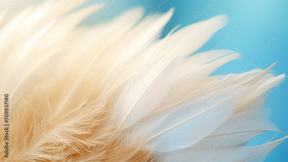 Feathered Serenity: Macro of White Bird Wing Feathered Serenity: Macro of White Bird Wing