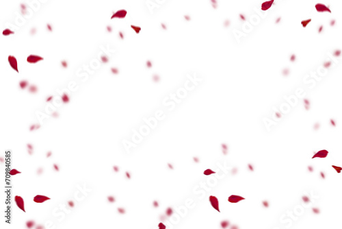 Petals overlayRed rose collection set of petals isolated on a transparent background. Red flower petals png. Floating red rose petal. Love valentines day postcard