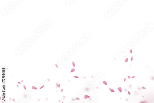 White rose collection set of petals isolated on a transparent background. Flower petals png. Floating pink rose petal. Love valentines day postcard