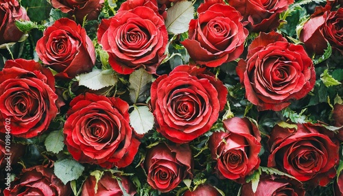 Whispers of Romance  Natural Fresh Red Roses Wallpaper