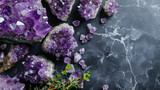 Amethyst crystals and green plant with dark black concrete luxury background with copy space, many beautiful shiny purple gemstone close-up.