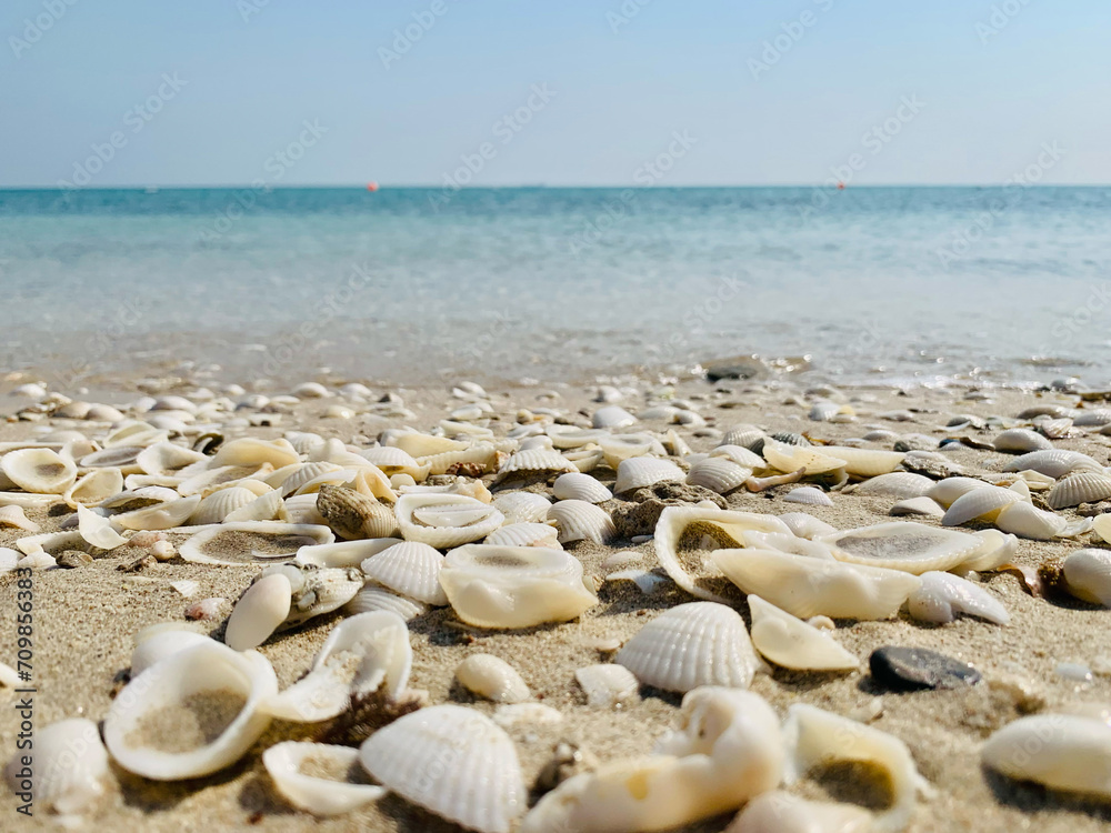 Sir Bani Yas, Island in the United Arab Emirates
