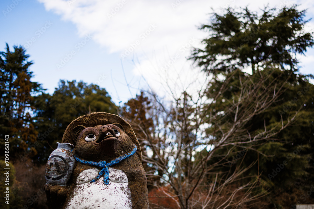 Obraz premium 空を見上げるたぬき