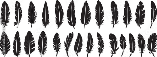 feather silhouette vector © DELWAR