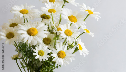Chamomile daisy flowers bouquet on white background. Minimal stylish still life floral composition