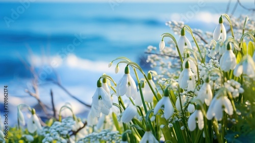 A bunch of snowdrops that are standing in the grass