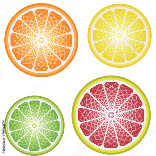 Hand drawn tylized slices of citrus fruits - orange, lemon, lime and grapefruit. Isolated on a white background. Set. Vector image photo