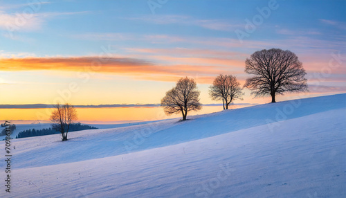 Minimalist winter trees on a snowy hilly meadow at sunrise © richard