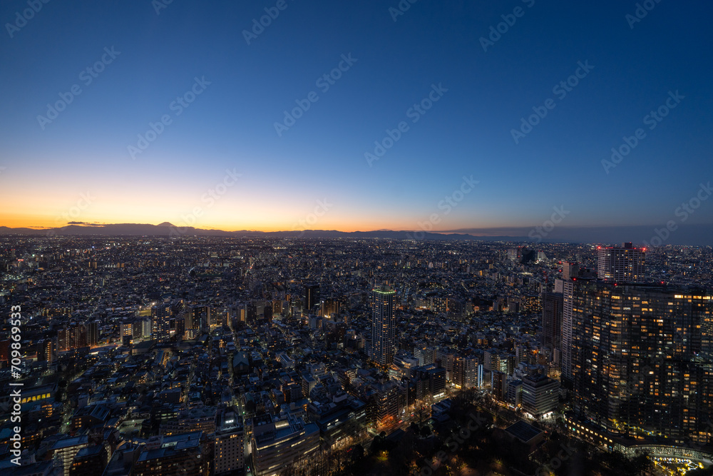東京の夜景と富士山