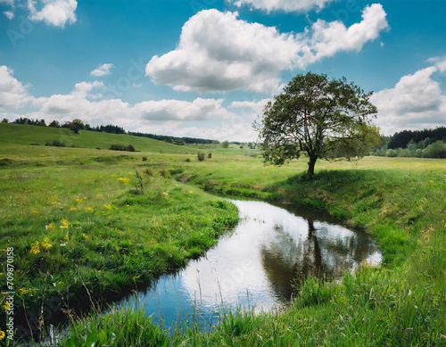 beautiful meadow with a small river and a lonely tree