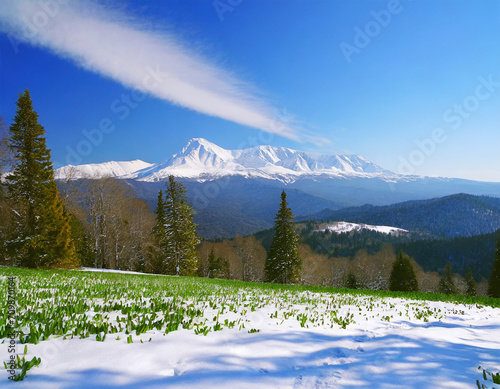 beautiful meadow with a view of the winter mountain shoria photo