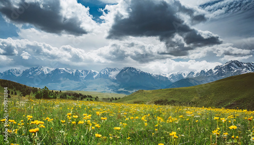 beautiful meadow with yellow flowers  mountains and majestic cloudy sky